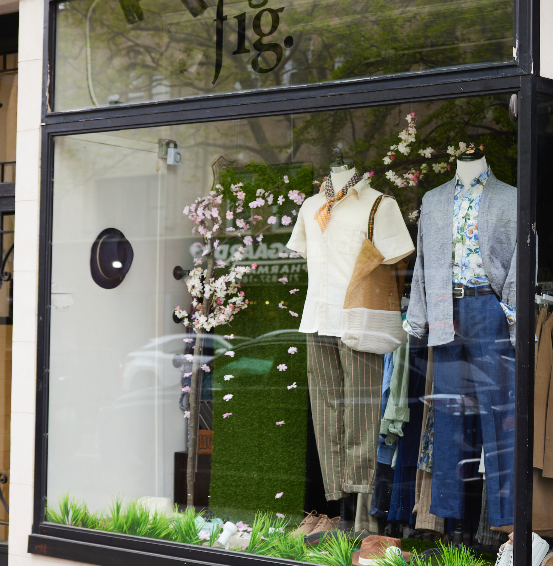 Kiwi & fig. Gift Card